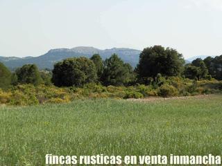 Finca rústica a Nerpio. Finca en venta labor monte caza mayor y menor próxima a caravaca