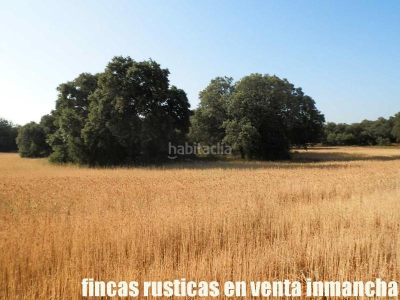 Foto 092eea58-8491-498c-861f-f468f1a4f6ce. Finca rústica finca en venta 475 has. labor caza menor caserío en albacete en Alcaraz