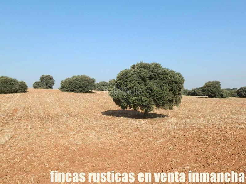 Foto 2043f936-6449-4f51-9eb1-489b615cc8e8. Finca rústica finca en venta 475 has. labor caza menor caserío en albacete en Alcaraz