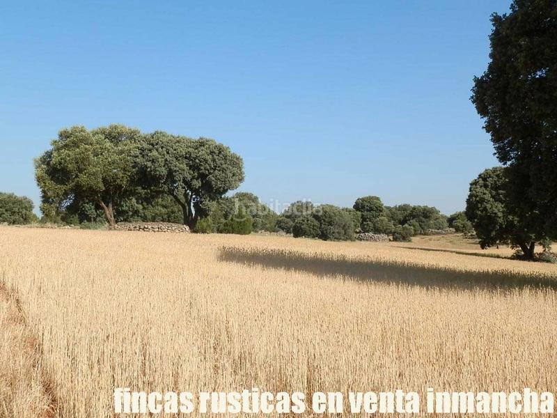 Foto 6ffe25b2-7948-4924-b440-6c36030ffa4a. Finca rústica finca en venta 475 has. labor caza menor caserío en albacete en Alcaraz