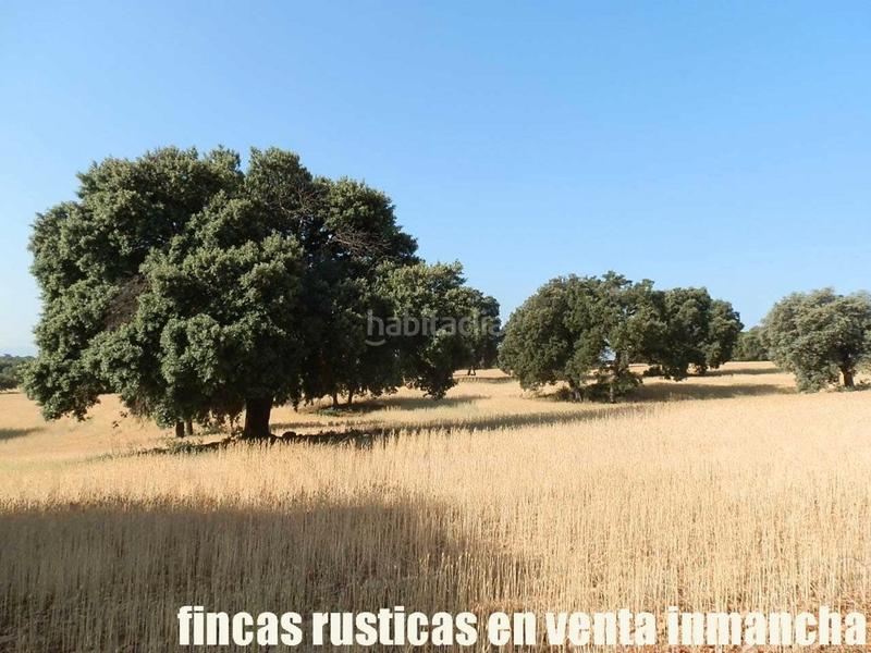 Foto b3d8615d-cf20-417d-9a91-b0dd010da641. Finca rústica finca en venta 475 has. labor caza menor caserío en albacete en Alcaraz