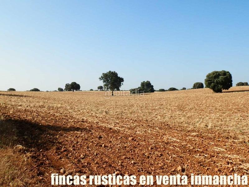 Foto cf1fc029-7dba-4f93-9b35-e43ee2b8d157. Finca rústica finca en venta 475 has. labor caza menor caserío en albacete en Alcaraz