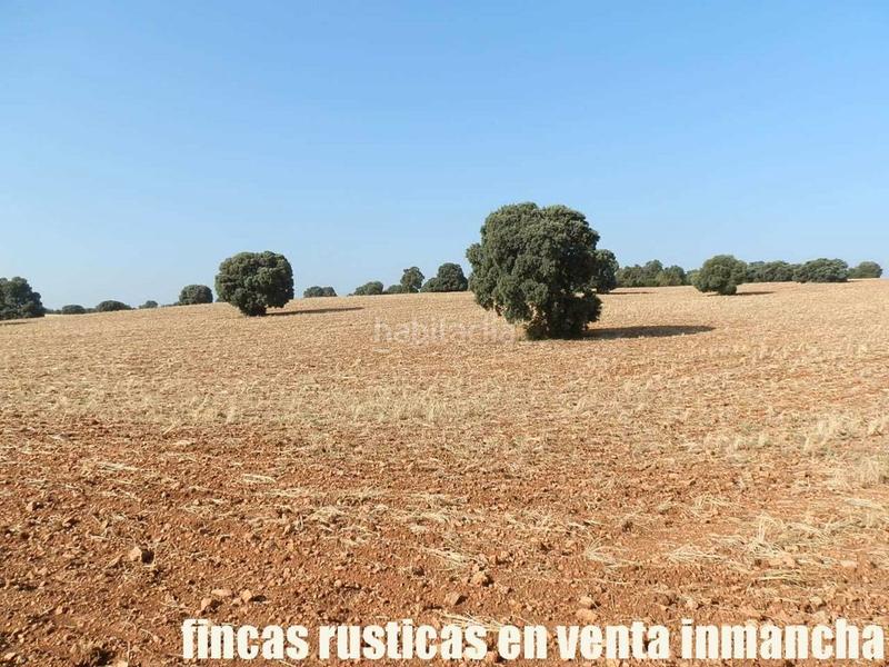 Foto d271812b-616b-45cd-9502-823d49ff3c6a. Finca rústica finca en venta 475 has. labor caza menor caserío en albacete en Alcaraz