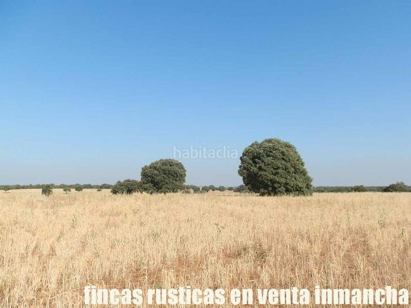 Foto d5f8f9bb-4012-4c53-b3a0-d179d9156bae. Finca rústica finca en venta 475 has. labor caza menor caserío en albacete en Alcaraz