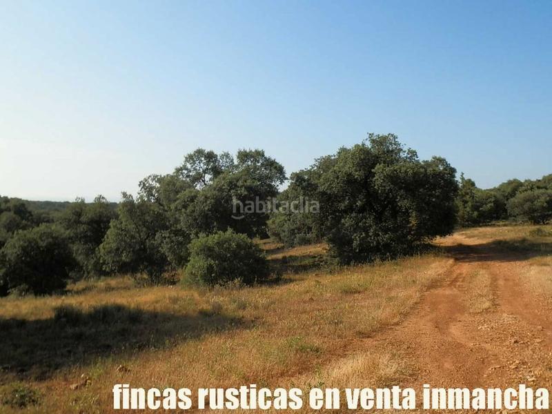 Foto e171ce0d-b77b-4166-9fea-0fbbbe0975d5. Finca rústica finca en venta 475 has. labor caza menor caserío en albacete en Alcaraz