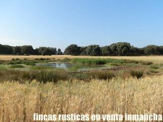 Finca rústica a Alcaraz. Finca en venta 475 has. labor caza menor caserío en albacete