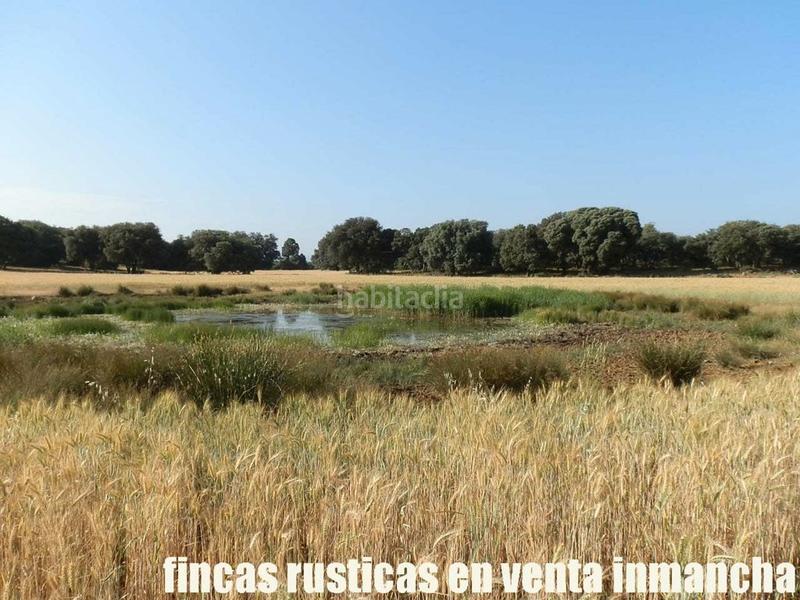 Foto fd71c9ad-564c-4efe-a1e6-3e68d901f9c4. Finca rústica finca en venta 475 has. labor caza menor caserío en albacete en Alcaraz