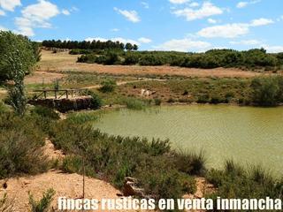 Landgut in La Milagrosa. Finca en venta 734 has. caza menor, labor, caserío en albacete