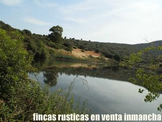 Finca rústica a Alcolea de Calatrava. Finca en venta 570 has. caza mayor junto a ciudad real