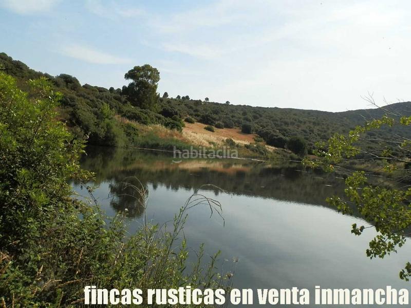 Foto 043428a7-6c29-4ebf-ab67-9cd3b3415fca. Finca rústica a Alcolea de Calatrava