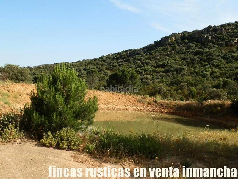 Foto 12e6f28e-db30-4030-b76d-ba0afce1808d. Finca rústica a Alcolea de Calatrava