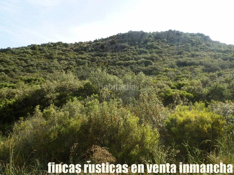 Foto 134b7961-322a-48c7-8436-9ff30758288e. Finca rústica a Alcolea de Calatrava