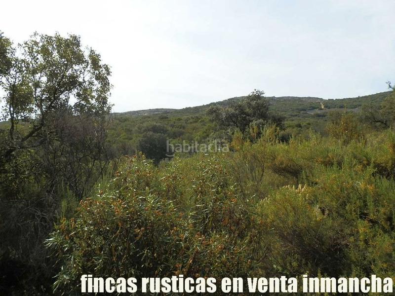 Foto 37872688-0d69-44d8-9e8f-8bf1524f4bff. Finca rústica a Alcolea de Calatrava