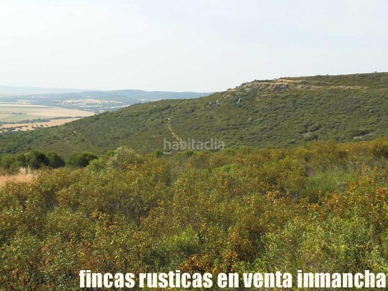 Foto 625d67de-c9c3-467f-8785-cef447b30d0a. Finca rústica a Alcolea de Calatrava