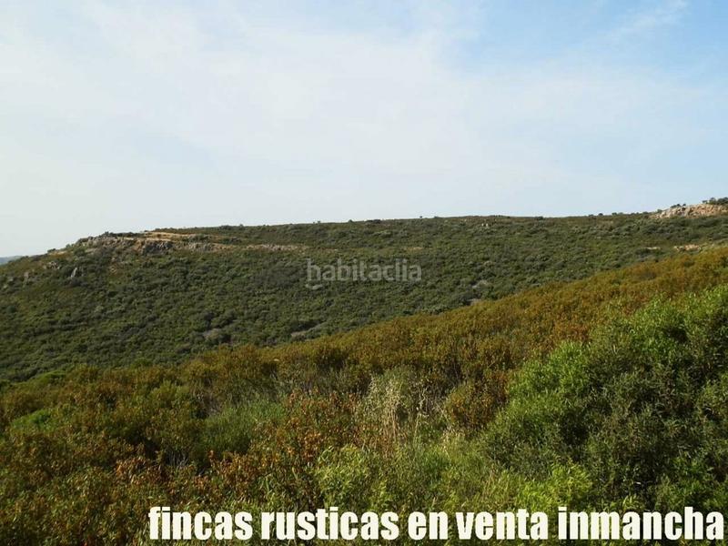 Foto 68a8440b-5a2e-4a16-b68f-9fa649d412b1. Finca rústica a Alcolea de Calatrava