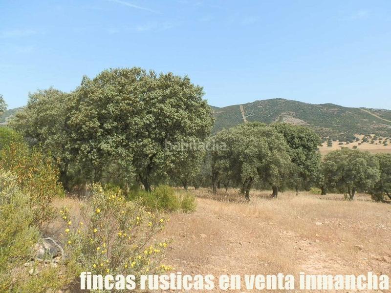 Foto 6dbf19fe-edfe-4eb1-a577-fdaebe262514. Finca rústica a Alcolea de Calatrava