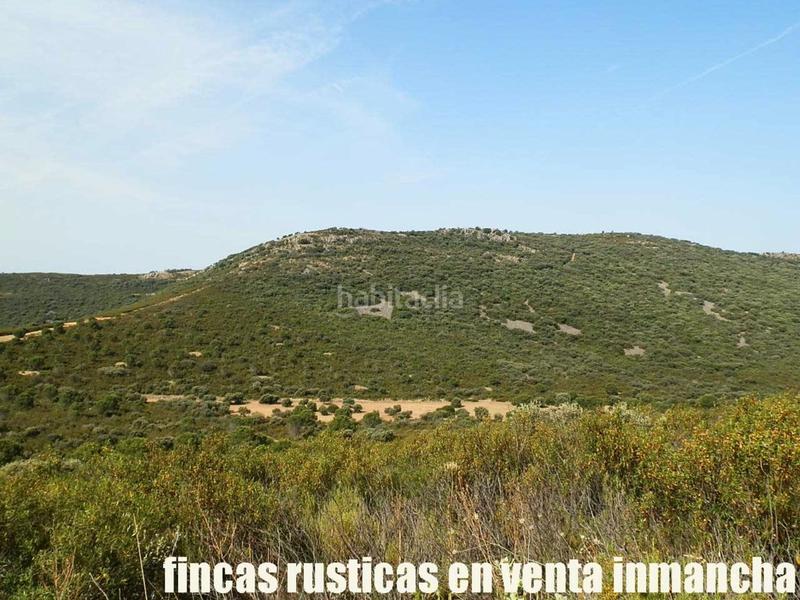 Foto 86fbd806-65ac-40ee-9ff1-36c30fc6f7da. Finca rústica a Alcolea de Calatrava