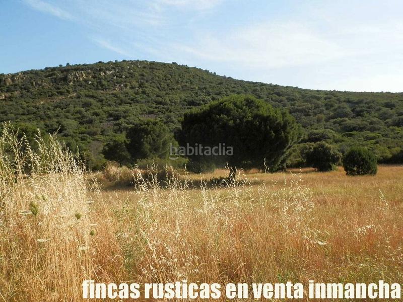 Foto 88ba60bf-058d-442f-bb80-3451c83b09e9. Finca rústica a Alcolea de Calatrava