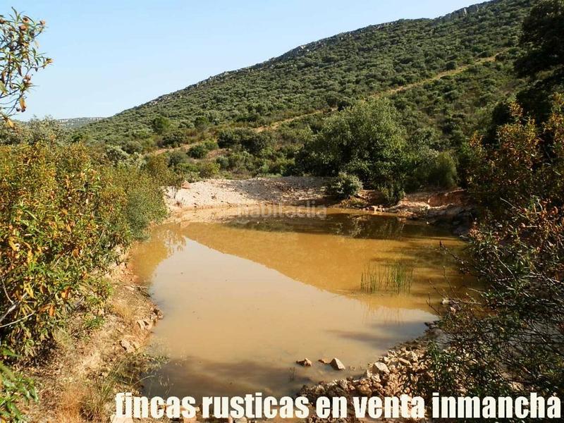 Foto 8af06bb1-a879-435a-a75f-580db33ca178. Finca rústica a Alcolea de Calatrava