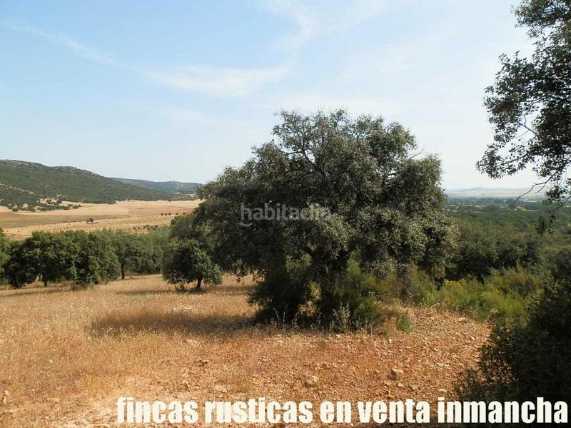Foto 932ac3c1-d387-4919-b3d5-6648737a0386. Finca rústica a Alcolea de Calatrava