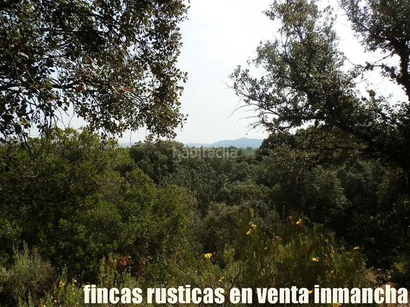 Foto 94b42053-f0a8-4ff5-9c8b-2d4e6e6df053. Finca rústica a Alcolea de Calatrava