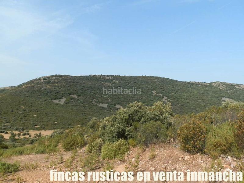 Foto c39803a1-567f-4699-836a-276cfcac30ac. Finca rústica a Alcolea de Calatrava