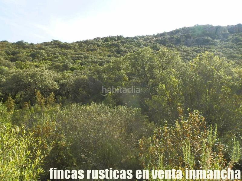 Foto dad2ee1a-de1c-4234-895e-b4292f51a397. Finca rústica a Alcolea de Calatrava