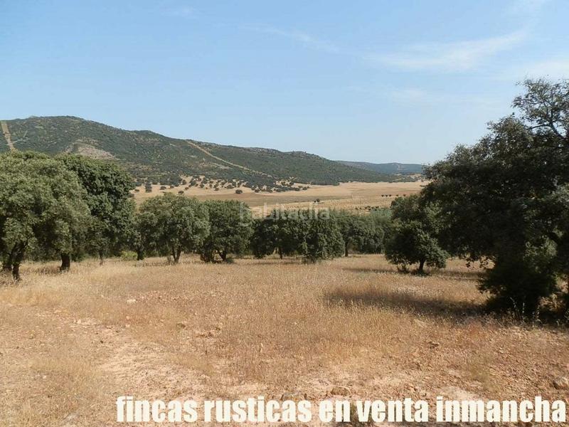 Foto df31ebd1-d904-4942-aa0b-667796c72294. Finca rústica a Alcolea de Calatrava