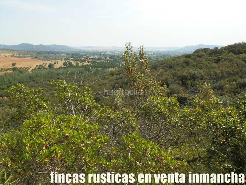 Foto e175eff6-157f-44a8-8f1c-c65df0686940. Finca rústica a Alcolea de Calatrava