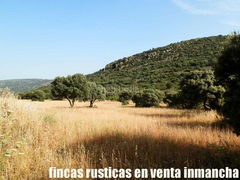 Foto e99ba230-8a52-4521-9399-3cbd462b99b3. Finca rústica a Alcolea de Calatrava