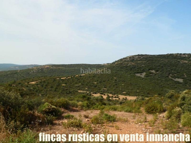 Foto f7c2ad11-f65d-43e1-8ea8-cf3dae8e3254. Finca rústica a Alcolea de Calatrava