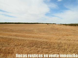 Rural plot in San Pablo. Finca en venta 220 has. labor secano riego monte en albacete