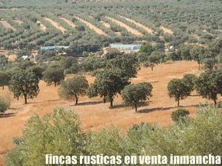 Landgut in Fuente el Fresno. Finca en venta 100 has. olivar secano-pastos en ciudad real