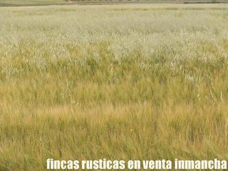 Finca rústica a Alcázar de San Juan