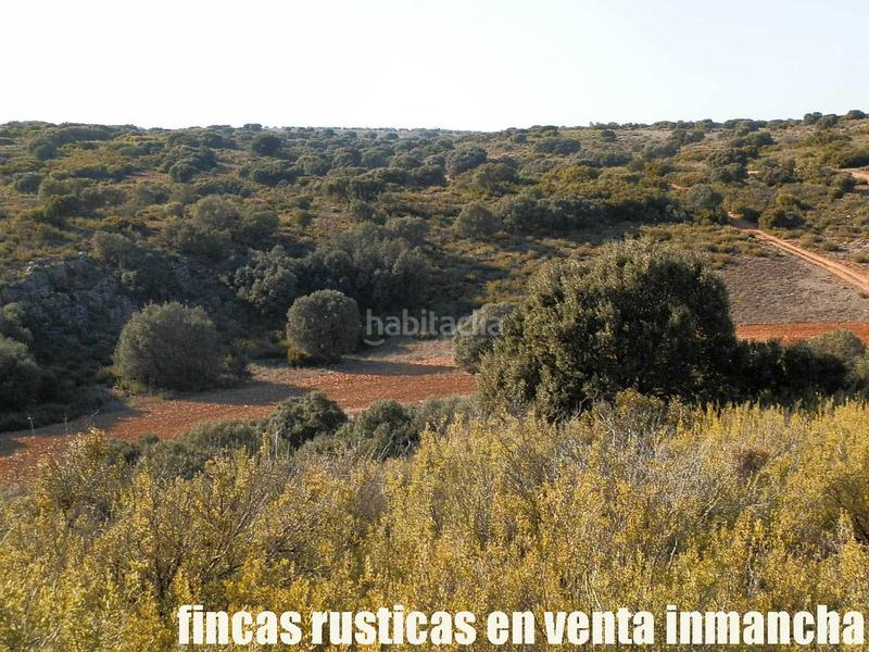 Foto 13778800-3571-4c58-8c03-3f5f059fc55a. Finca rústica a Ruidera