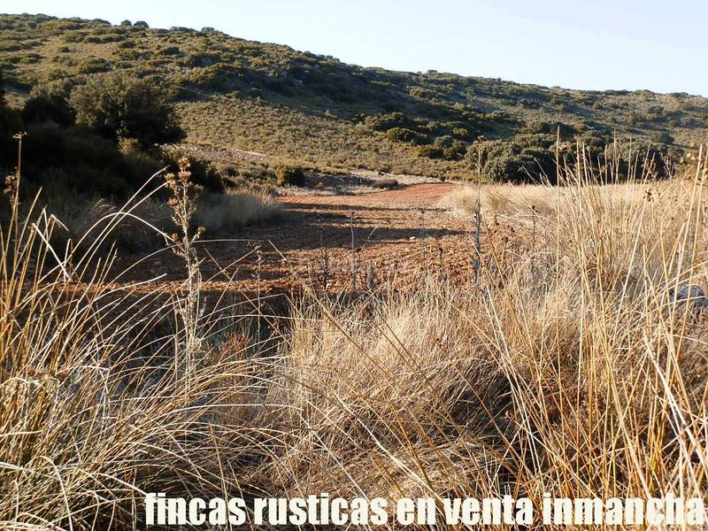 Foto 2e2eeee0-f8e1-4158-ba98-cb768056abca. Finca rústica a Ruidera