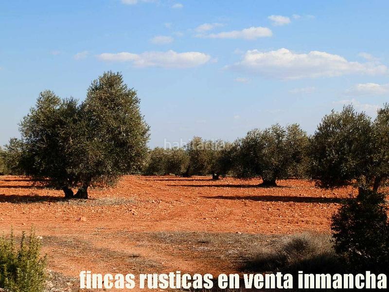 Foto 7d3adc32-fbb9-41b6-9f79-ec6be92727d4. Finca rústica a Ruidera
