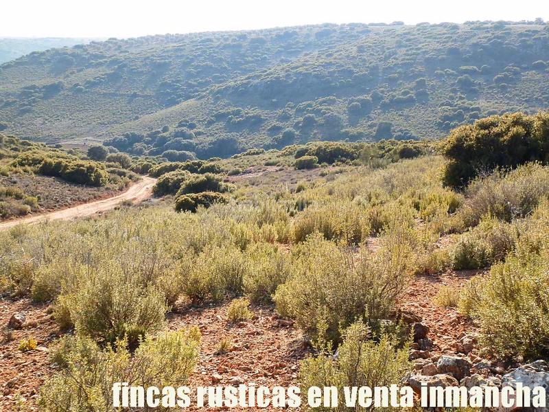 Foto 82ee981c-ac9e-4b37-aa8a-c2d6f11500c4. Finca rústica a Ruidera