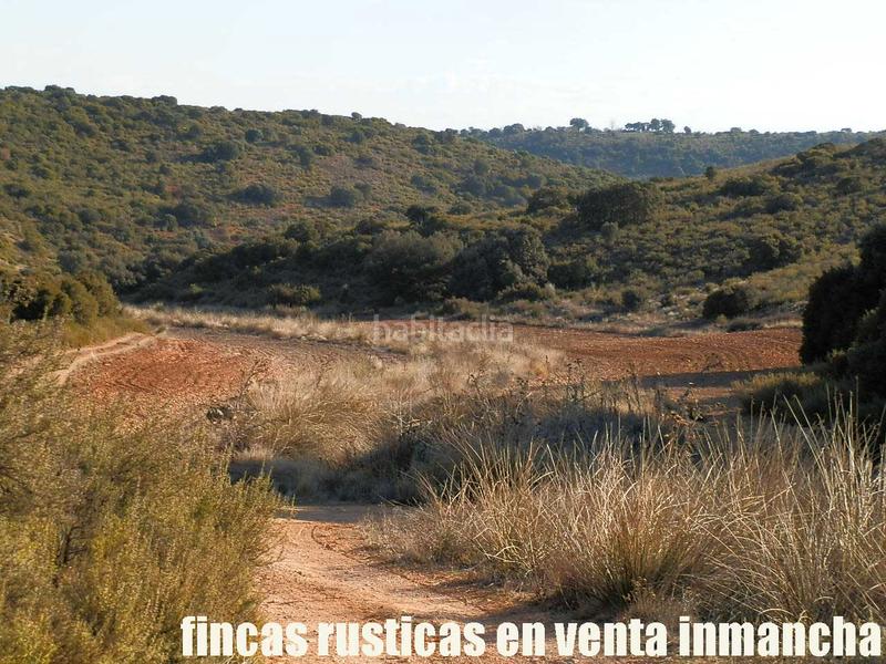 Foto 8bd074fe-d0bb-4bf7-ab51-26904ffb189e. Finca rústica a Ruidera