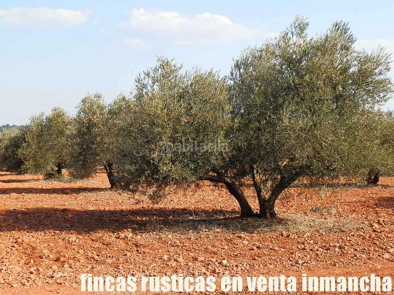 Foto abf4e3de-6672-40ae-864a-44d49ef79dd8. Finca rústica a Ruidera