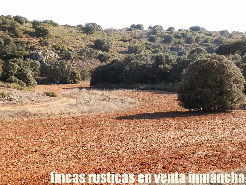 Foto b0f44abf-7ef3-4ac5-b0da-77faef6e2fb3. Finca rústica a Ruidera