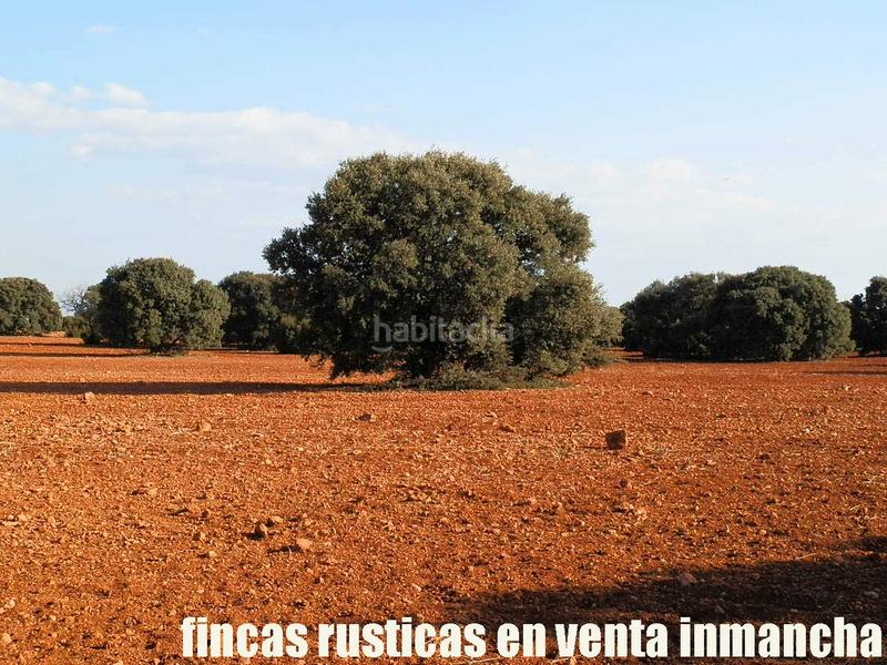 Foto d139ad93-9bf7-4b77-92db-35fc02aac056. Finca rústica a Ruidera