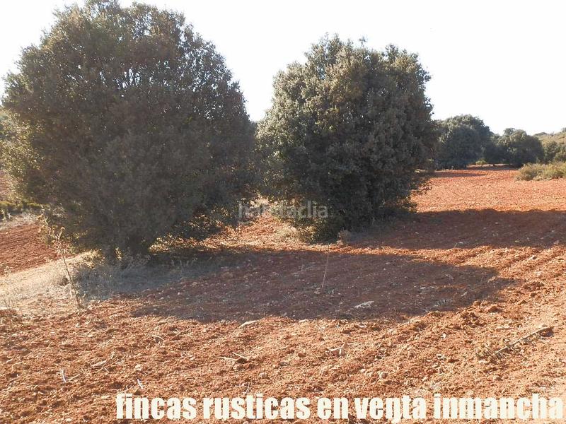 Foto e7c70403-910f-4ab3-a27f-925a262f7328. Finca rústica a Ruidera