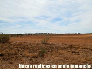 Finca rústica en Villarrobledo. Finca en venta 220 has. labor-almendros-viña caserío en albacete