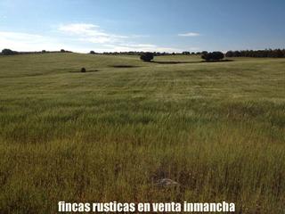 Finca rústica en Ruidera. Finca en venta 186 has. labor caza menor en ruidera (ciudad real
