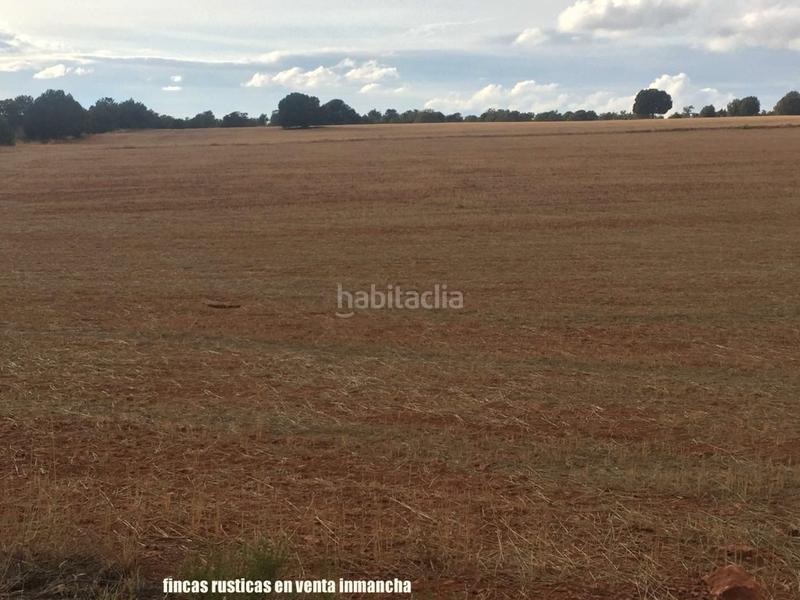 Foto 28ca056b-a5b4-4a31-9b6d-7b88dfce43fb. Finca rústica a Munera