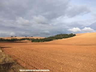 Finca rústica en Munera. Finca en venta 1.309 has. labor caza menor, caserío en albacete