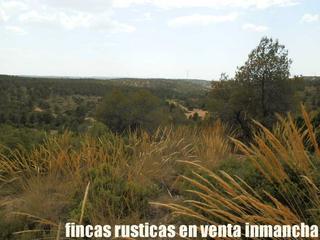 Landgut in Chinchilla de Monte - Aragón. Finca en venta 464 has. labor monte en albacete