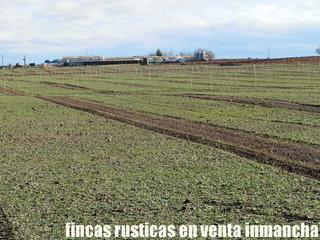 Finca rústica en Mesas (Las). Finca en venta 150 has. labor secano almendros en las mesas (cue