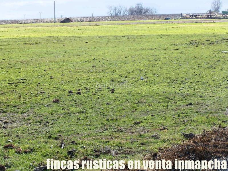 Foto 1623a092-ae68-4f5d-ae17-17af924a2d0a. Finca rústica a Mesas (Las)